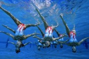 国际拳击联赛：营养与恢复体系成为队伍投入重点，国际拳击联合会